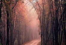 [CBA]嵇梦珩：上海久事男篮常规赛不“常规”.