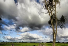 [网球]德约科维奇：见证门希克的成长与变化 令我惊叹.