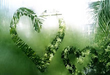 星空体育：[NBA]伊森持球突破 上篮打进还造加罚.